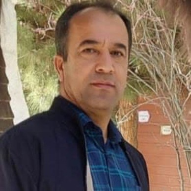 Mohammad Hosein Zareian